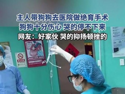 狗狗绝育手术耗时及相关知识