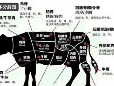 齐兴肉兔的饲养方法（以养殖效益为目标的科学养殖策略）