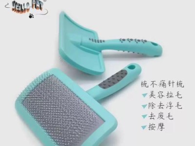 狗狗的理想梳毛工具（选择适合你宝贝的梳毛工具如何提高毛发健康）
