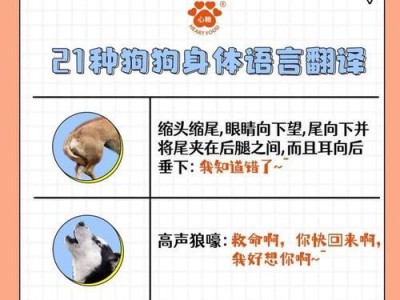 伯瑞犬的养护指南（让你的伯瑞犬健康快乐成长）