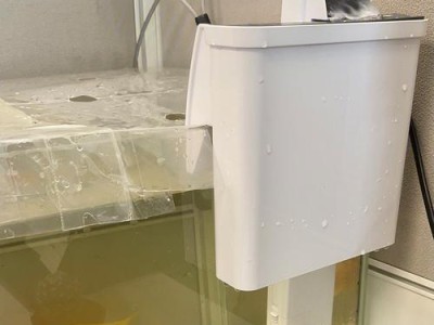 选择合适的水族箱过滤器材，打造清新水域环境（优质过滤器材）