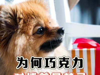 狗狗怀孕期间不能吃巧克力（巧克力对怀孕狗狗的危害及替代品推荐）