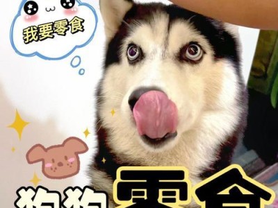 宠物狗的饮食指南（为幼狗提供健康的饮食选择）