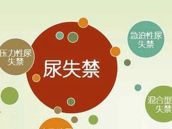 狗狗尿失禁的原因及解决方法（了解狗狗尿失禁的原因，掌握正确处理方式）
