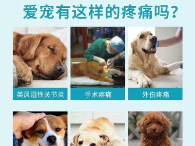 博美犬感冒了吃什么药？（博美犬感冒症状、常用药物及注意事项）
