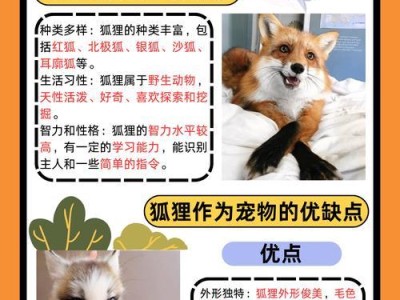 如何养护狐狸狗，打造健康活泼的宠物伙伴（狐狸狗养护指南——从食物到训练，让你的小家伙健康成长）
