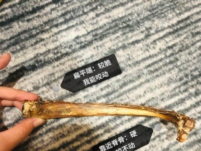 狗狗拔牙前的注意事项（保护宠物牙齿健康的关键）