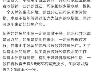 如何科学饲养纳塔柔毛鼠？（以宠物为主，纳塔柔毛鼠的饲养技巧一网打尽！）