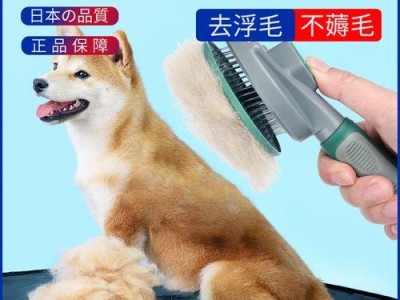 如何给宠物狗狗梳毛？（掌握这些工具，让狗狗的毛发更健康！）