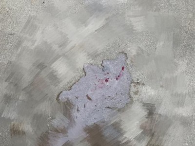 狗狗细小引发血尿（揭秘狗狗细小为何导致血尿，有效应对保护爱宠健康）