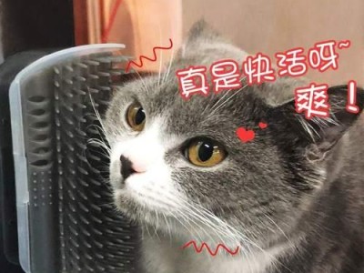 如何缓解猫咪腋下痒（挠猫咪腋下会让它更难受吗？——宠物爱好者必看的护理技巧）