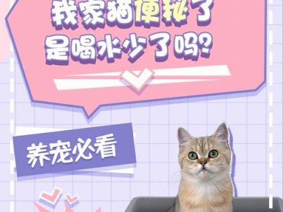 小猫不拉屎的原因及解决方法（为什么小猫不拉屎？如何解决小猫不拉屎的问题？）