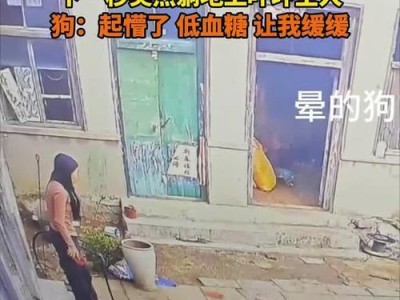 狗低血糖症状全解析（掌握这些关键信息，保护宠物健康）