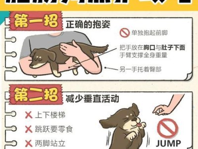 腊肠犬的饲养方法（健康、幸福、快乐的生活方式）