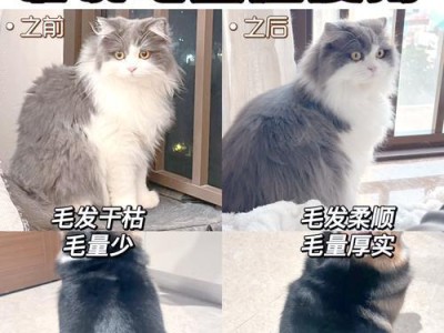 狗狗换季脱毛（探讨狗狗换季脱毛的周期和注意事项）