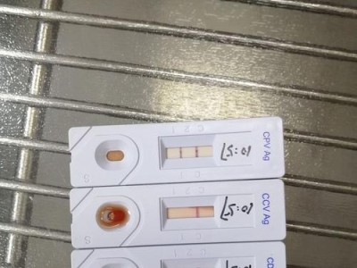 细小试纸的失效时间及原因调查（探索细小试纸失效的因素，保证准确测试结果）