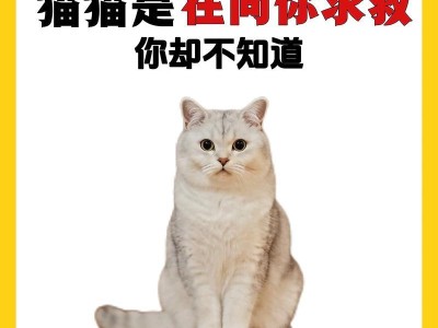 猫咪生病的迹象与注意事项（了解猫咪常见生病迹象，提前发现并及时就医）