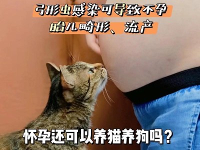 如何有效杀灭狗狗弓形虫（保护狗狗健康的必要措施）