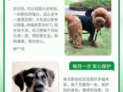狗狗用完来福恩后多久能洗澡？（洗澡时间对狗狗健康的影响及如何确定洗澡间隔）