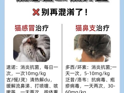 猫咪打喷嚏发烧吃什么药？（了解猫咪喷嚏与发烧症状，正确选择合适药物）
