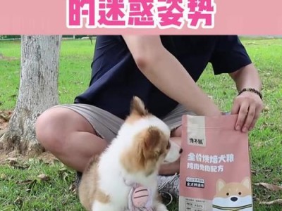比熊的可爱动作之谜（揭秘比熊会做出的令人惊叹的动作）