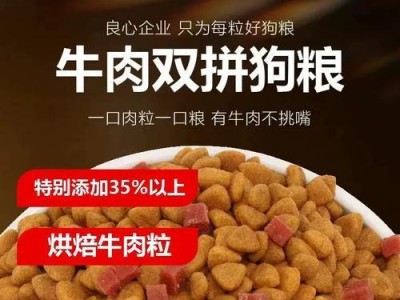 以一袋狗粮能吃多久泰迪的饮食需求剖析（探究泰迪犬每天所需狗粮的量及其影响因素）