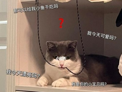 猫咪突然变凶，你需要知道的事情（为什么猫咪会突然变凶？如何处理？）