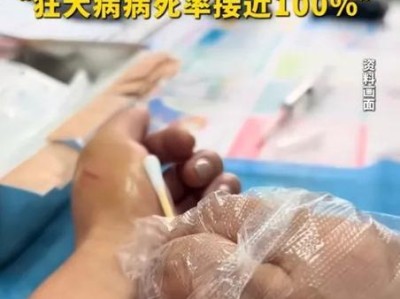 如何让狗狗咬我？（培养与狗狗的亲近关系，让他们信任你）