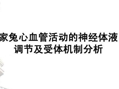 家兔的常用药品及正确喂养方法（保持家兔健康的重要关键—正确喂药）
