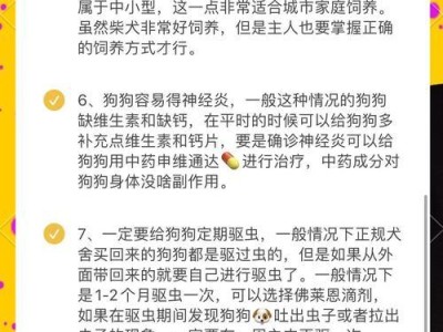 柴犬小时候的良好调教（先天与后天的双重因素塑造出乖巧的柴犬宝宝）