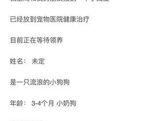 狗绝育的最佳时机与好处（为你的狗选择最适合的绝育时机，让它更健康和快乐）