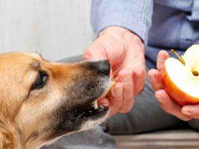 狗狗不能吃的常见水果（宠物主人必看，15种不能给狗狗食用的水果）