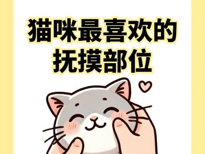 猫咪生气了怎么办？抚摸猫咪的正确方法（让你的猫咪恢复愉快的小技巧）