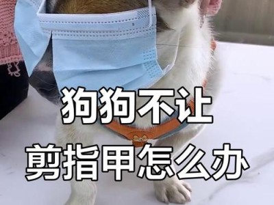 幼犬指甲修剪的最佳时机及方法（如何正确修剪幼犬的指甲以保持其健康和舒适）