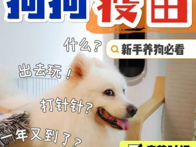 贵宾犬打育苗频率探究（了解贵宾犬育苗的最佳时机和频率）