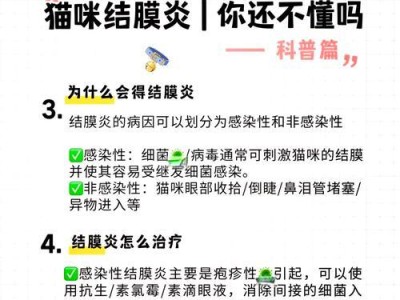 猫的眼眶为什么经常红？（探究猫眼眶红的原因及防治方法）