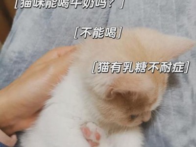 猫为什么会呕吐吃什么东西？（解析猫咪呕吐的原因以及适宜食物选择）