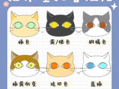 色彩斑斓的小猫拉屎之旅（揭秘小猫拉屎的奇妙世界）