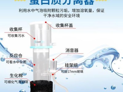 如何科学合理地定期换水给海水缸（海水缸换水的频率与技巧详解）