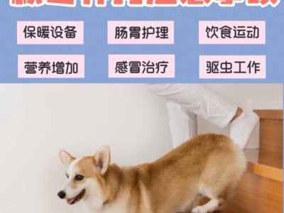 购买狗狗的注意事项（为了给宠物提供最好的家庭，购买狗狗前必须注意的几个方面）