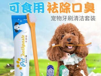 选择适合狗狗的牙膏，关爱它的口腔健康（牙膏品牌推荐及如何正确使用）