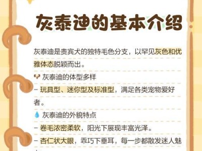 灰贵宾犬的毛发变化过程（探秘灰贵宾犬毛发翻毛的时间和原因）
