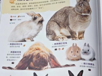 兔子换毛周期及剃毛的注意事项（了解兔子换毛周期，合理剃毛保护兔子健康）