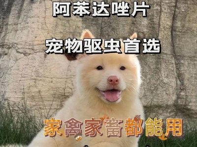 保护你的宠物狗，远离这5种折磨虫子的方法（打造无虫宠物生活，为你的狗狗提供全方位的保护）