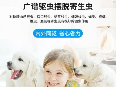 治疗小狗犬蠕形螨的药物选择（选择安全有效的药物进行治疗）