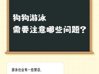 夏天狗狗需注意事项（夏季狗狗护理与健康指南）