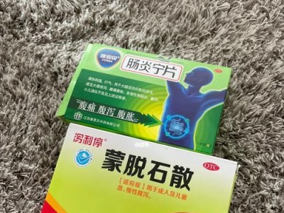 泰迪狗肠胃炎的治疗方法（探索有效的药物治疗方案）