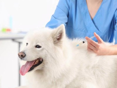 狗狗的体表健康问题及预防方法（宠物犬的常见皮肤病、毛发问题和寄生虫感染）