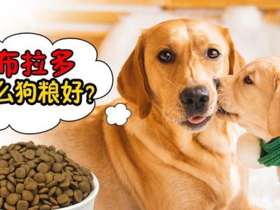 拉布拉多犬2个月时应该吃什么狗粮？（选择适合2个月拉布拉多的营养均衡狗粮，让它健康成长）