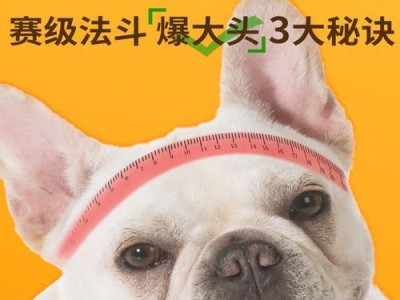 如何选择适合一岁半法斗的狗粮？（关注营养需求，打造健康宠物生活）